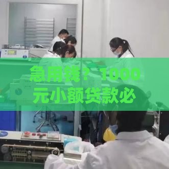 急用钱？1000元小额贷款必过攻略，这几个方法亲测有效！