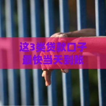 这3类贷款口子最快当天到账