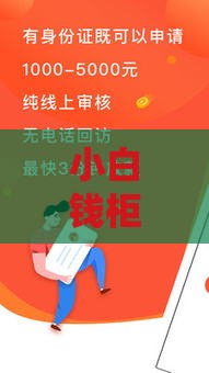 小白钱柜是哪个口子？新手必看的贷款平台解析