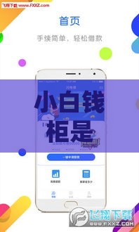 小白钱柜是哪个口子？新手必看的贷款平台解析