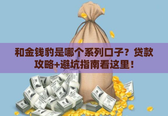 和金钱豹是哪个系列口子？贷款攻略+避坑指南看这里！