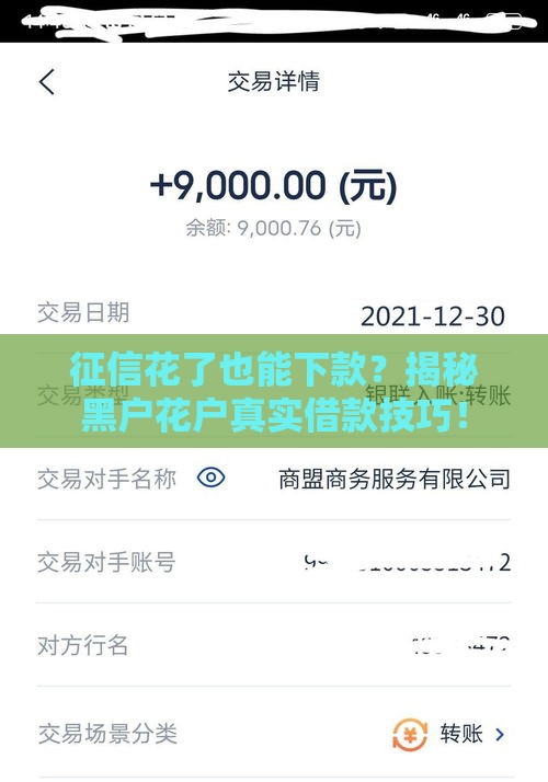 征信花了也能下款？揭秘黑户花户真实借款技巧！