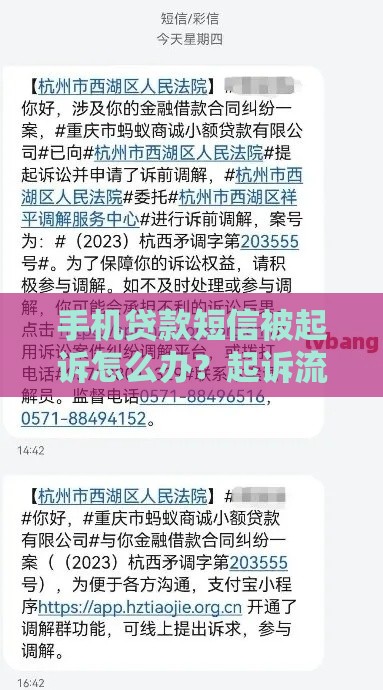 手机贷款短信被起诉怎么办？起诉流程详解+应对技巧