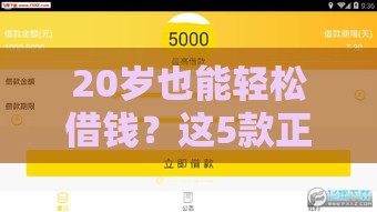 20岁也能轻松借钱？这5款正规软件门槛低、下款快，年轻人速看！