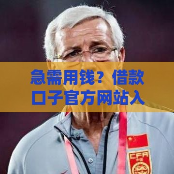 急需用钱？借款口子官方网站入口在哪？安全可靠吗？