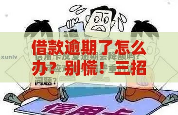 借款逾期了怎么办？别慌！三招教你化解危机