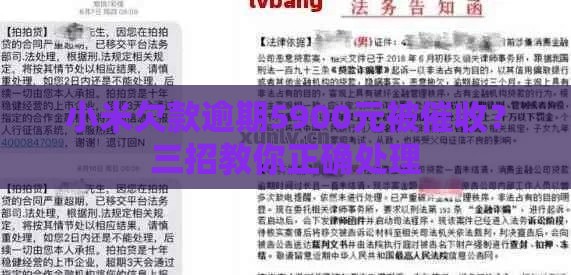 小米欠款逾期5900元被催收？三招教你正确处理