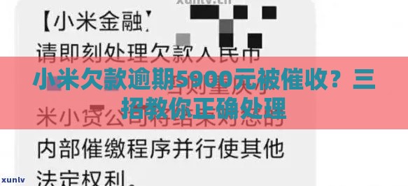 小米欠款逾期5900元被催收？三招教你正确处理
