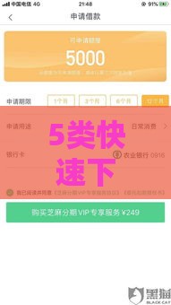 5类快速下款平台真实解析