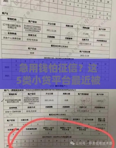 急用钱怕征信？这5类小贷平台最近被疯狂讨论！