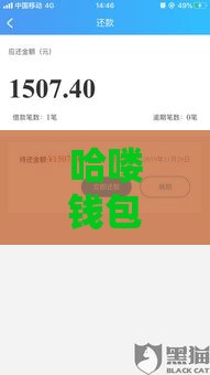 哈喽钱包借款容易通过吗？3个关键点帮你快速下款！