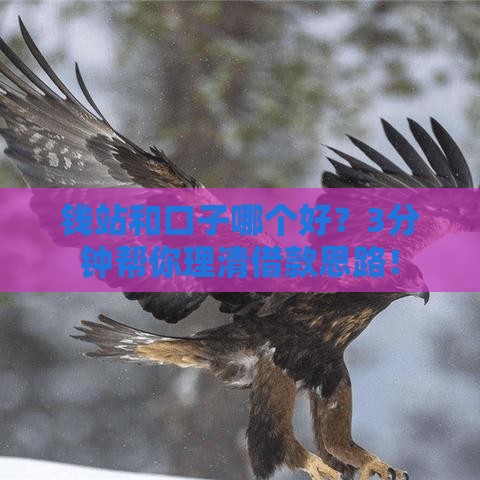 钱站和口子哪个好？3分钟帮你理清借款思路！