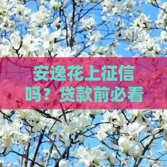 安逸花上征信吗？贷款前必看的3大注意事项！