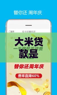 大米贷款是拉卡拉口子吗？真实体验+避坑指南速看！