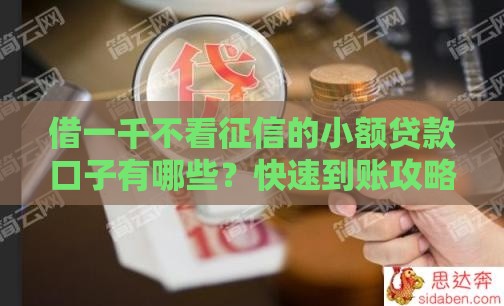 借一千不看征信的小额贷款口子有哪些？快速到账攻略分享