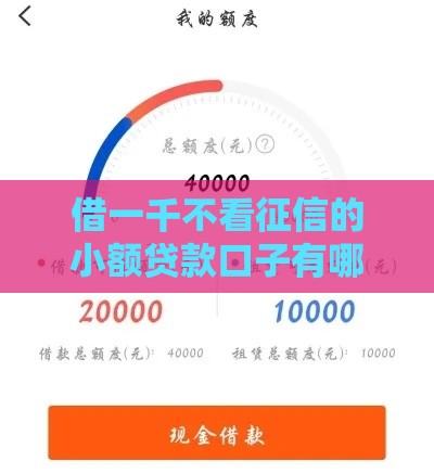 借一千不看征信的小额贷款口子有哪些？快速到账攻略分享
