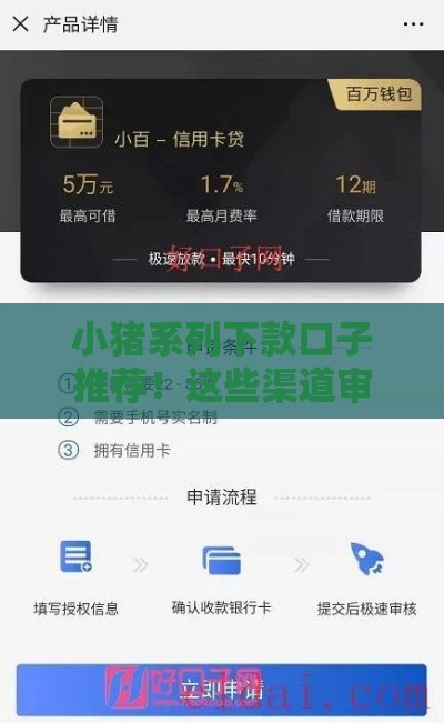 小猪系列下款口子推荐！这些渠道审核快额度高