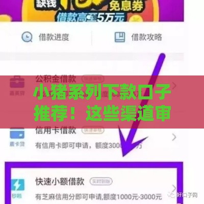 小猪系列下款口子推荐！这些渠道审核快额度高