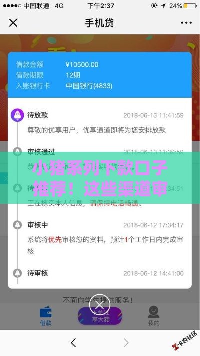 小猪系列下款口子推荐！这些渠道审核快额度高