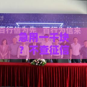 急用一千块？不查征信小额贷款秒到账攻略来了！