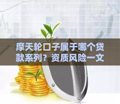 摩天轮口子属于哪个贷款系列？资质风险一文说透！