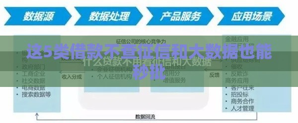 这5类借款不查征信和大数据也能秒批