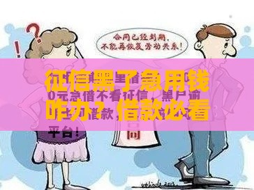 征信黑了急用钱咋办？借款必看攻略来啦！