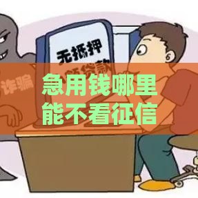 急用钱哪里能不看征信负债借钱？必看攻略