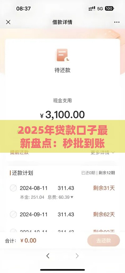 2025年贷款口子最新盘点：秒批到账+避坑指南