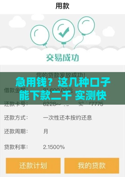 急用钱？这几种口子能下款二千 实测快速到账！