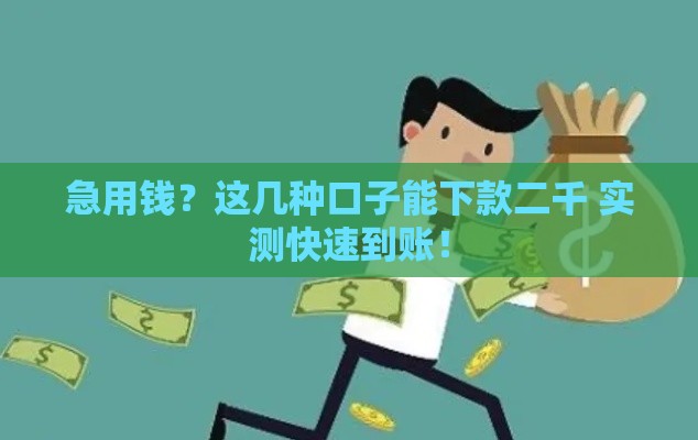 急用钱？这几种口子能下款二千 实测快速到账！
