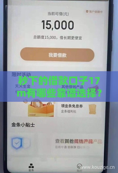 秒下的借款口子17m有哪些靠谱选择？