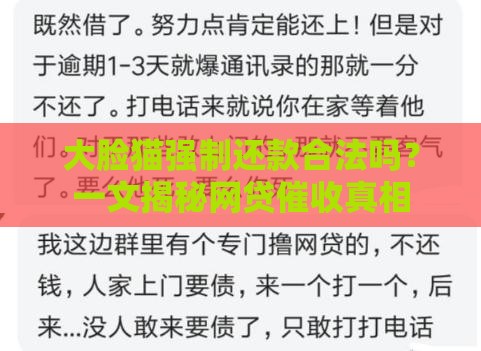 大脸猫强制还款合法吗？一文揭秘网贷催收真相