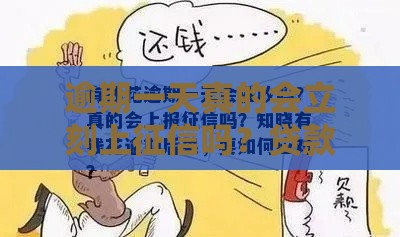 逾期一天真的会立刻上征信吗？贷款老司机揭秘真相！