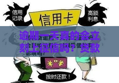 逾期一天真的会立刻上征信吗？贷款老司机揭秘真相！