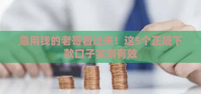 急用钱的老哥看过来！这5个正规下款口子实测有效
