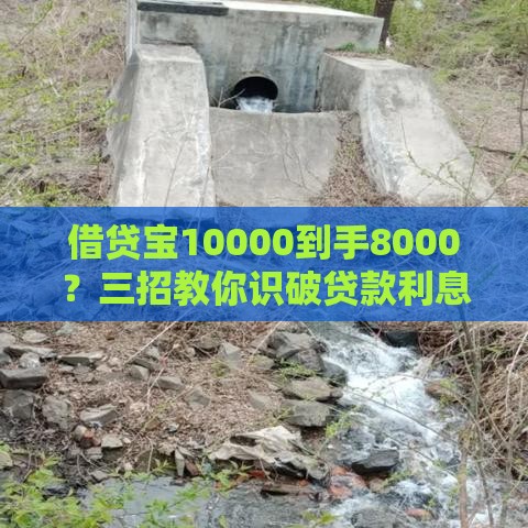 借贷宝10000到手8000？三招教你识破贷款利息陷阱