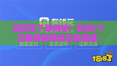 征信花了急用钱？实测5个还能用的网贷应急通道！