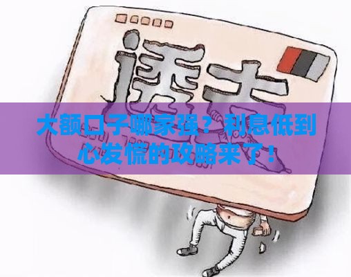大额口子哪家强？利息低到心发慌的攻略来了！