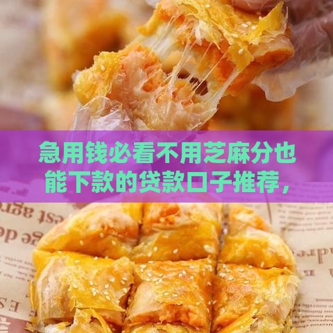 急用钱必看不用芝麻分也能下款的贷款口子推荐，快速到账攻略全解析！