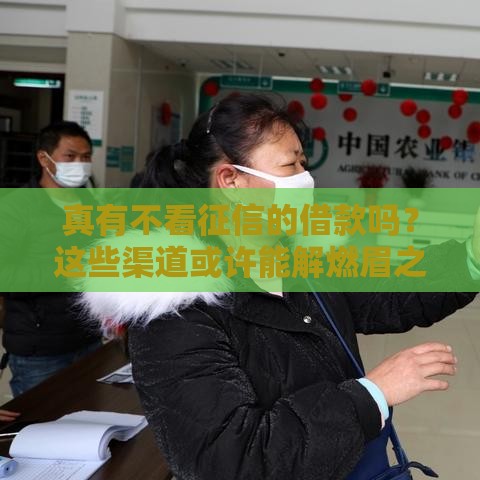 真有不看征信的借款吗？这些渠道或许能解燃眉之急！