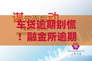 车贷逾期别慌！融金所逾期处理实用指南