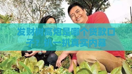 发财树高炮是哪个贷款口子？扒一扒真实内幕