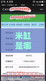 米缸是哪个系列的口子？贷款平台真相大揭秘！