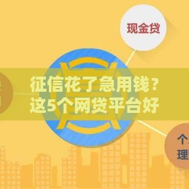征信花了急用钱？这5个网贷平台好下款！速看攻略