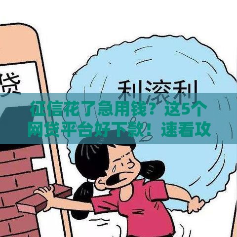 征信花了急用钱？这5个网贷平台好下款！速看攻略