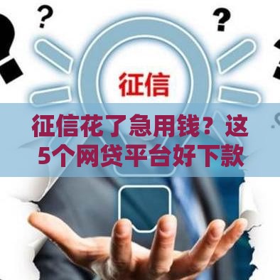 征信花了急用钱？这5个网贷平台好下款！速看攻略