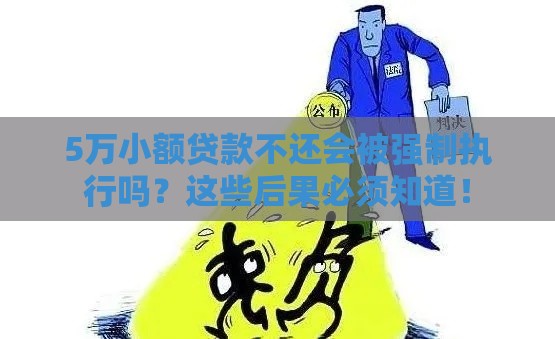 5万小额贷款不还会被强制执行吗？这些后果必须知道！