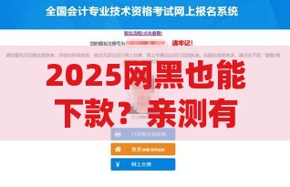 2025网黑也能下款？亲测有效网贷避坑指南