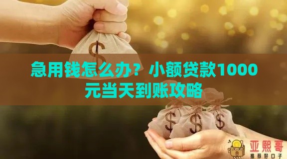 急用钱怎么办？小额贷款1000元当天到账攻略